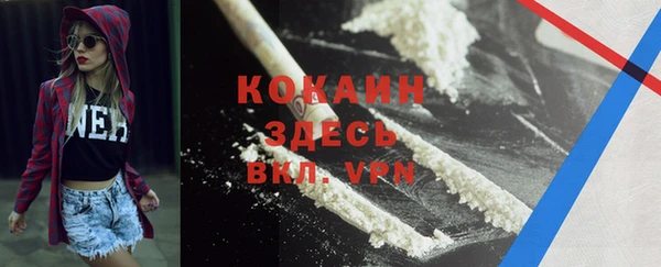 стаф Богородицк
