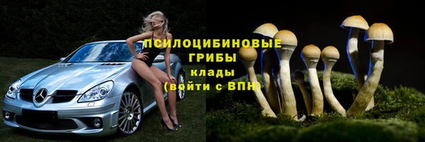шишки Богданович