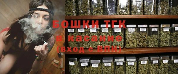 стаф Богородицк