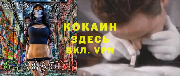 стаф Богородицк
