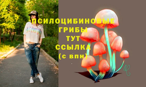 шишки Богданович