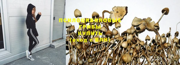 эйфоретик Тобольск